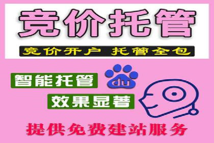百度竞价排名服务：成功案例解析与优化策略